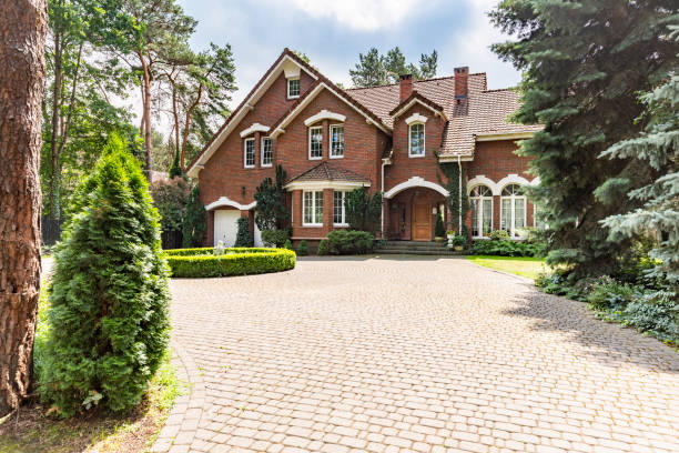 Best Driveway Repair Near Me  in Newport, MN