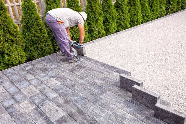 Best Cobblestone Driveway Pavers  in Newport, MN