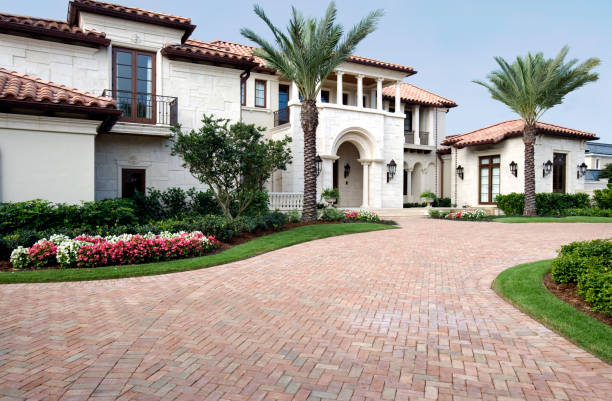 Best Driveway Paving Contractor  in Newport, MN